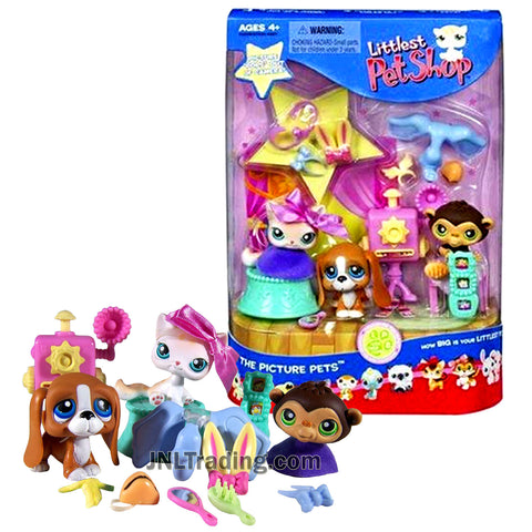 Year 2006 Littlest Pet Shop LPS Bobble Head Figure Set - Springtime Fun Pets with Basset Hound, Chimpanzee & Shorthair Kitten Cat Plus Props Accessory