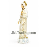 Turtle King 16 Inch Sacred Heart of Mary Statue Catholic Blessed Virgin Mary Hand-Painted Resin Religious Figurine for Home Altar Church Decor D18193