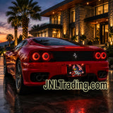 Quest Electro Graphix United We Stand 2475 Light-Up License Plate 12V 7 Lighting Sequences Patriotic Eagle