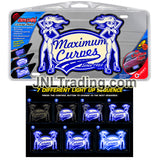 Quest Electro Graphix Maximum Curves #2474 Light-Up License Plate 12V 7 Lighting Sequences NOS