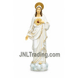 Turtle King 16 Inch Sacred Heart of Mary Statue Catholic Blessed Virgin Mary Hand-Painted Resin Religious Figurine for Home Altar Church Decor D18193