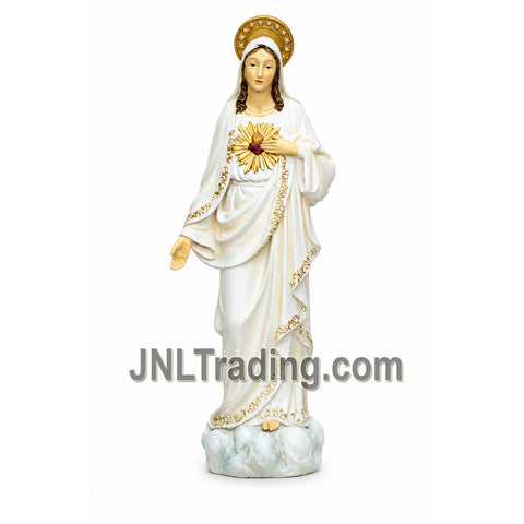 Turtle King 16 Inch Sacred Heart of Mary Statue Catholic Blessed Virgin Mary Hand-Painted Resin Religious Figurine for Home Altar Church Decor D18193