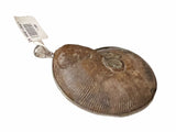 Handcrafted Beautiful Natural Fossilized Real Ammonite Creatures Pendant OA