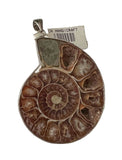 Handcrafted Beautiful Natural Fossilized Real Ammonite Creatures Pendant OA