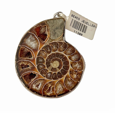 Handcrafted Beautiful Natural Fossilized Real Ammonite Creatures Pendant OB