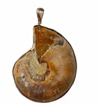 Handcrafted Beautiful Natural Fossilized Real Ammonite Creatures Pendant OB
