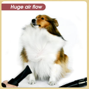 Shelandy 3.2 hp stepless adjustable speed pet hair force dryer dog grooming blower with heater discount